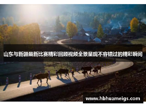 山东与新疆最新比赛精彩回顾视频全景呈现不容错过的精彩瞬间